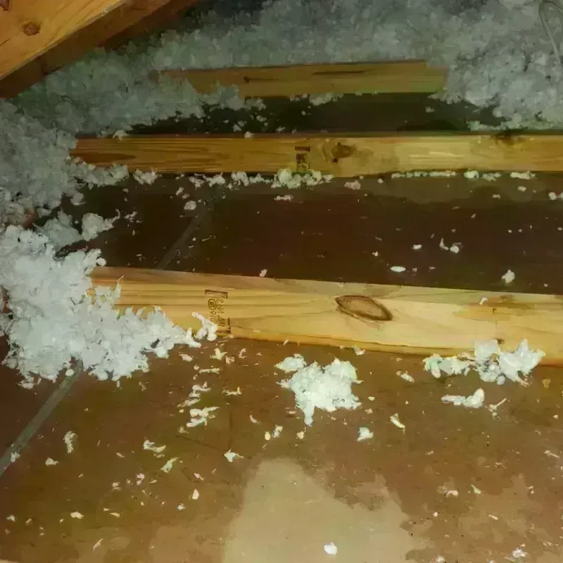 Attic Water Damage in DeSoto, TX