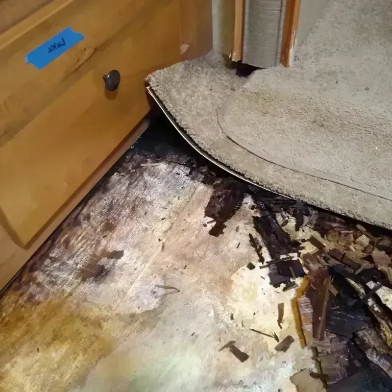 Wood Floor Water Damage in DeSoto, TX